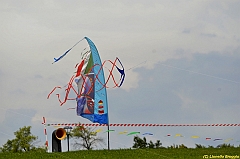 Venice kite festival_0233